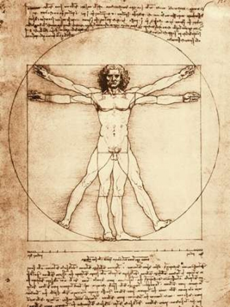 Vitruvian Man Poster Print by Leonardo da Vinci - Item # VARPDX3LV152